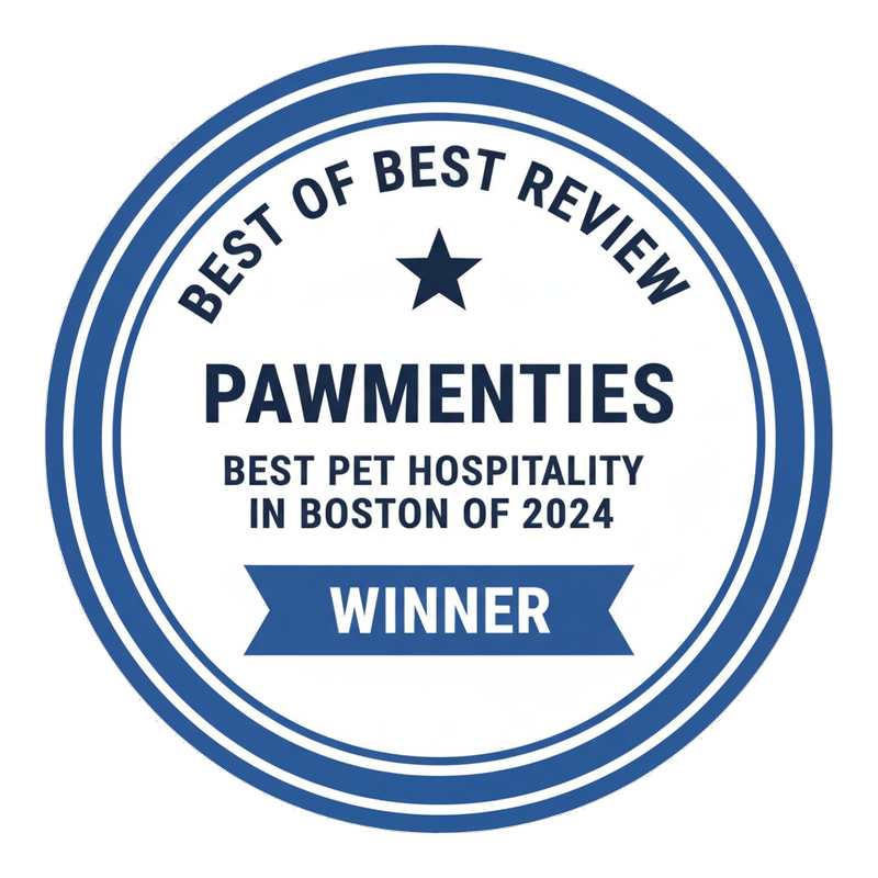 Best of Best Review award badge