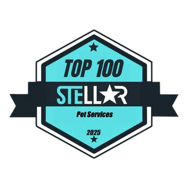Stellar Business award badge