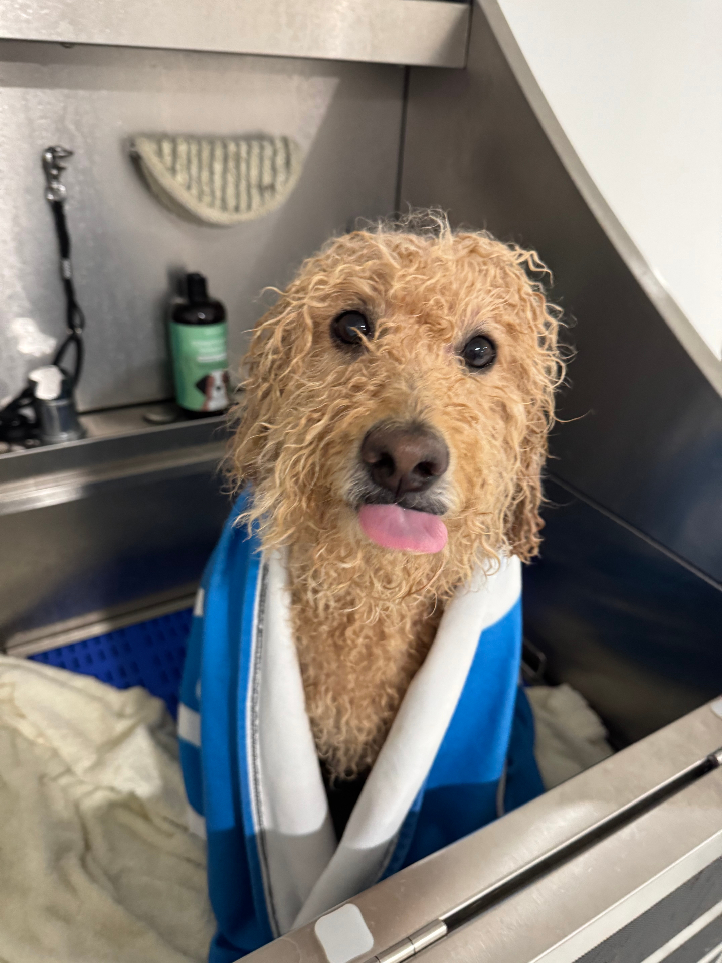 Fresh after a bath
