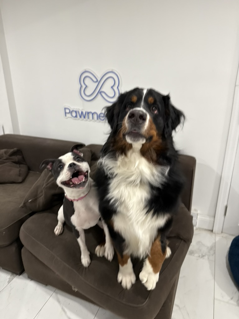 Best friends at the door