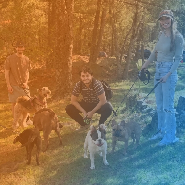 Pawmenities team with dogs