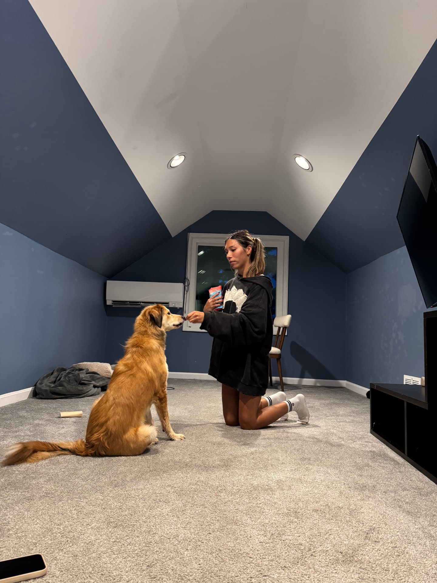 Pawmenities gallery photo 21